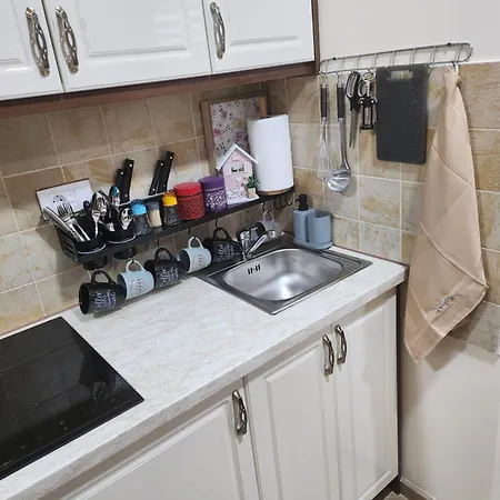 דירה Zlatiborski Raj *